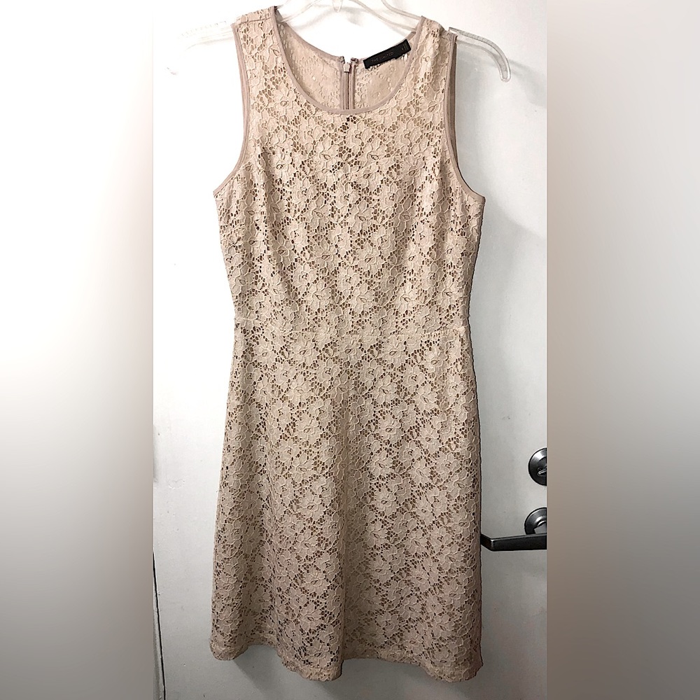 THE LIMITED- Gold Shimmer Cream Lace ‘Dressy Dress’